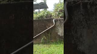 Rare Footage Dji Spark Crash 2 Times But Still Flying