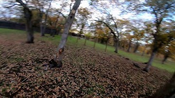 RPM filters on Betaflight 4.1 #armattan #betaflight4.1 #RPMfilters