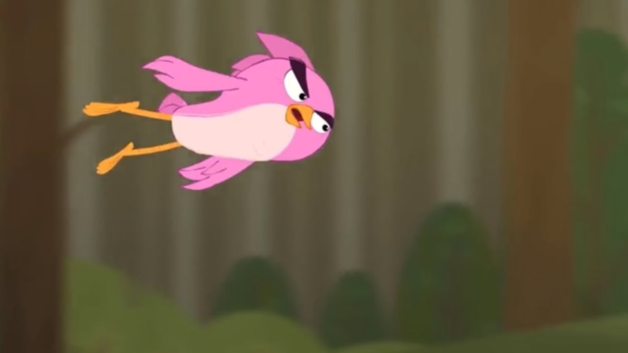 Angry Birds Summer Madness Stella Beats Terrence HD YouTube