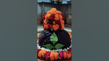 हे दुनिया के मालिक, कुछ तो रहम करो। #mahadev #shiva #mahadev #shivastotra #mantra#youtubeshorts