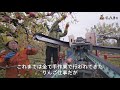 りんごの機械収穫から選別まで～青森県鯵ヶ沢町(有)白神アグリサービス～
