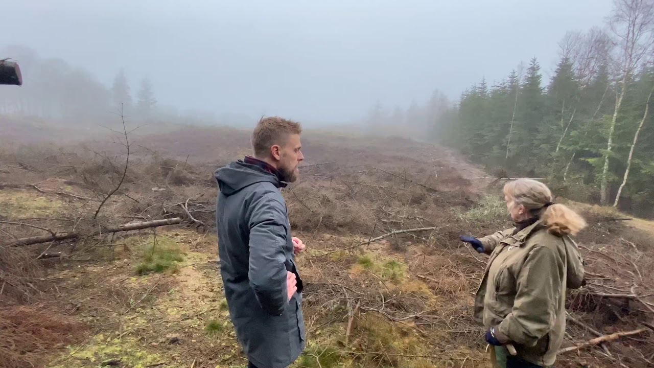 Renafdrift af område i Øland Skov. Del 1. Skovbrug.