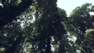 Once Mekel - Tak Sempurna (  Lyric Video )