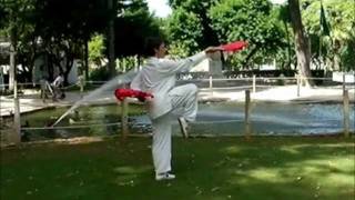 Tai Chi - Leques Wu Xuan