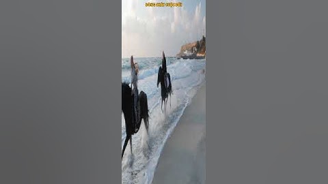 TẦM QUAN TRỌNG CỦA SỨC KHỎE!  #baihoccuocsong