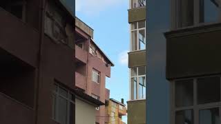 Atmaca Saldırı Anları İki Kuşada vuruyor Birini Yakalıyor.