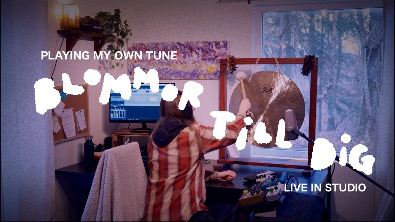 The Feeling Of Gratitude (Live, Looping, Ambient, Folkmusic)