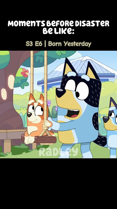 Moments before Disaster be like:☠ | Cats - The Living Tombstone | #bluey #edit