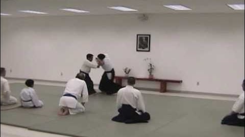 Aikido 3rd Kyu Exam