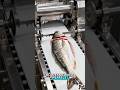 Industrial Fish Filleting Machine #heavymachinery #industrialmachines #megamachines