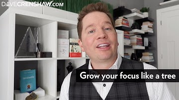 How to grow your focus like a tree