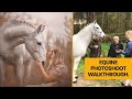 Photography Session with Twiggy the Pony