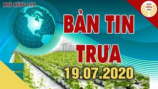 Tin tức | Bản tin trưa | Tin tức 24h chuyển động mới nhất hôm nay 19/ 07 /2020 | Thời sự nông thôn screenshot 1