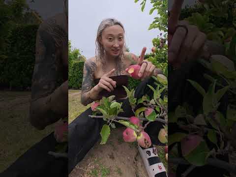 Help me decide my next video!