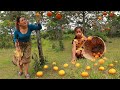 Picking orange fruit in forest- Mother cooking chicken steamed in salt so delicious