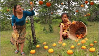 Picking orange fruit in forest- Mother cooking chicken steamed in salt so delicious