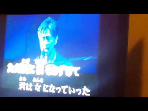 青春の影　チューリップ