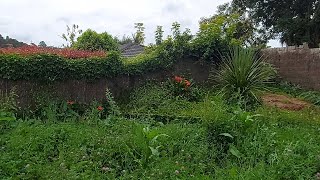 This Garden was one of the Worst Neglected Gardens we saw | CRAZY GARDEN!!!