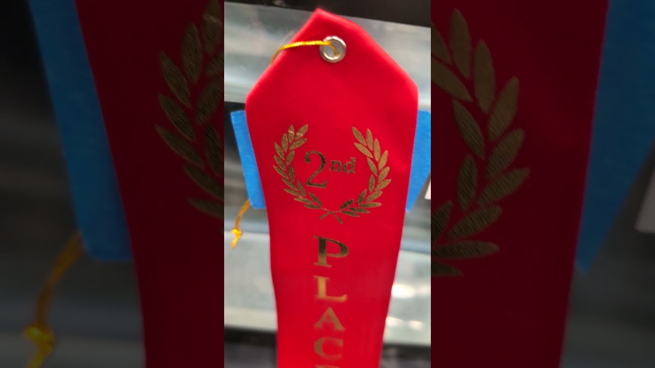 2026 ALA Convention - Fish Showroom Red Snakeskin Guppy 2nd place! (2026) #shorts #drockingfish