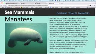 Intro to Web Apps Assignment 4