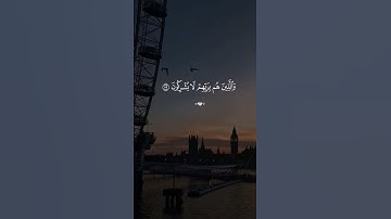 #القرآن_الكريم #اكسبلور #تلاوة_خاشعة #لايك #ياسر_الدوسري #تيك_توك #قرآن #ماهر_المعيقلي #ترند #تلاوات