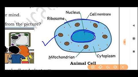 worksheet 3 science class 9 (9/7/21) English  medium/ science worksheet 3 class9/class9 science