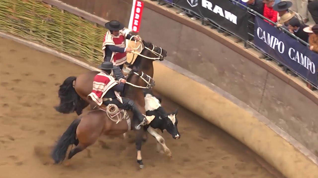 RODEO AL DIA 37 SERIE PRIMERA LIBRE A 2018 YouTube