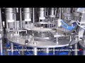 UAE,10000BPH (500ml) PET Bottled Water Filling Machine