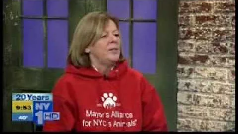 NY1: NYer Of The Week: Debbie Fierro Saves The Lit...