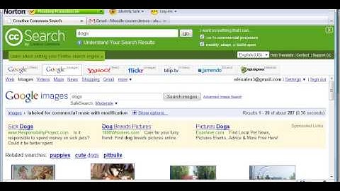 Adding Graphics to Moodle