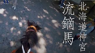 Horse Training on the Yabusame Track Without Shooting (北海道神宮 流鏑馬)