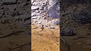 Urlaub Am See In Schweden