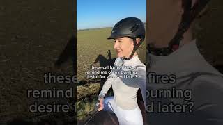 Do you think the same about these california fires ? - - - - #livingoregon #country #horse #car