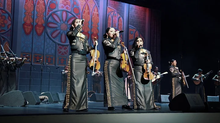 Mariachi Juvenil Azteca - 24th Annual Mariachi Var...