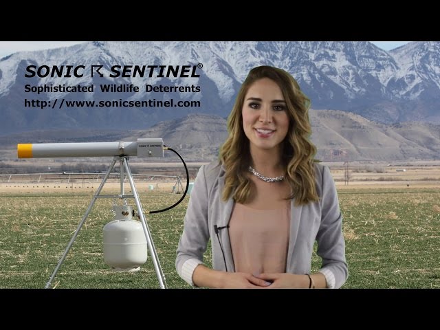 Moduli Attivazione Sonic Sentinel M14-1 - Telecomando Pulsante 433Mhz, Nuovo USA