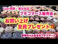 【多肉植物】多肉販売会のお知らせ❣️全員プレゼント🎁5/15福島アリオス！5／16山形ビックウィング2026年5月14日