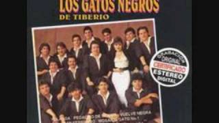 LOS GATOS NEGROS DE TIBERIO  Carmenza.wmv chords