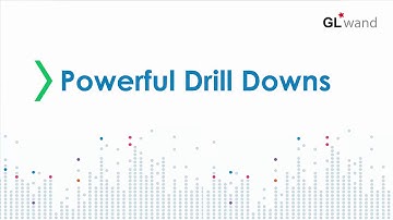 Insight GL Wand for Oracle EBS