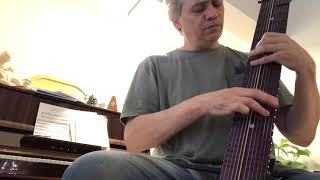 Enjoy The Silence On Chapman Stick