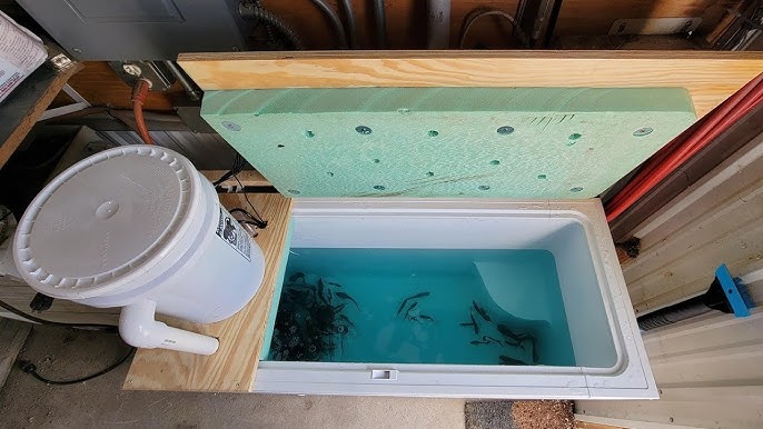 Keep Bait Alive ALL Winter Long! (How to Minnow Tank Build DIY