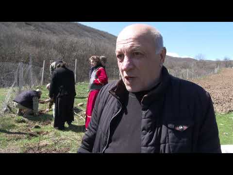 ომის ვეტერანების მომავალი თაობებისთვის