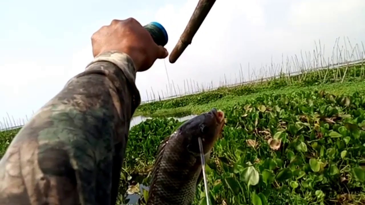 Ka tiksay Airgun fishing extreme dahan dahan Language YouTube