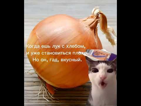Когда ешь лук с хлебом, и уже становиться плохо. Но он, гад, вкусный. # ...