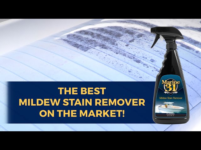 Quickly and Safely Remove Mildew Stains with the Marine 31 Mildew Stain  Remover! 