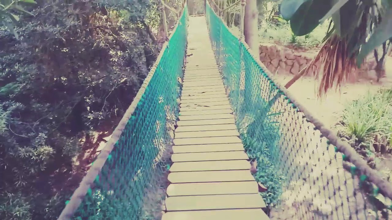 حديقة العجائب ❤❣❣😍 jardin exotique❣❤❣🤩