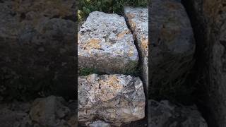 اكتشاف قبر صخري