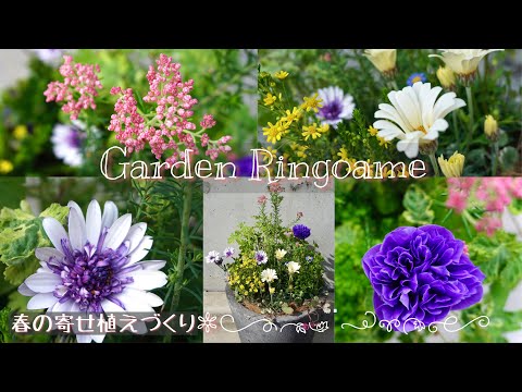 【春の寄せ植え】 fit=scale-down,w=1200