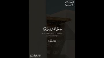﴿مَا لَكُمْ لَا تَرْجُونَ لِلَّهِ وَقَارًا﴾ | القارئ: راشد الحليبة