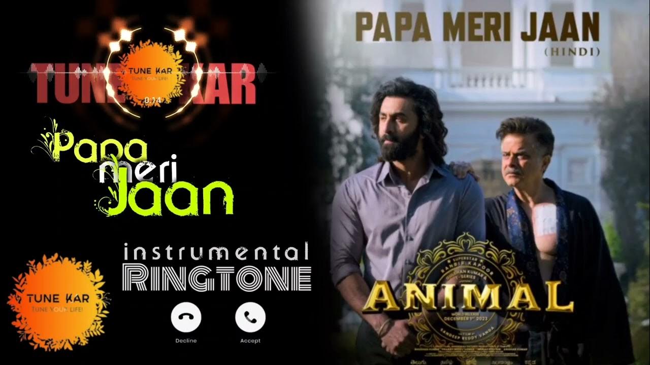 Ranbir kappor papa meri jaan ringtone｜TikTok Search