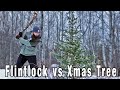Cutting down a Christmas Tree with a Flintlock Rifle